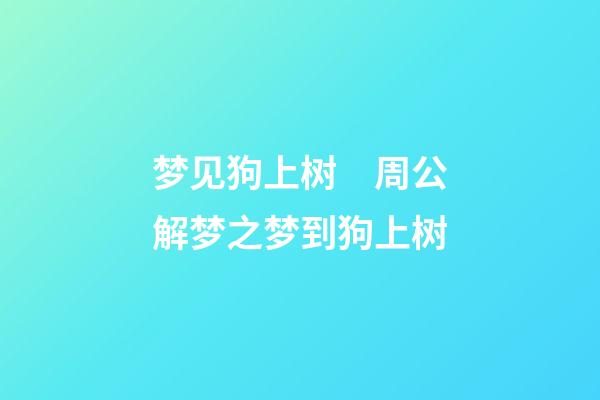 梦见狗上树　周公解梦之梦到狗上树